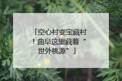 空心村变宝藏村！曲阜这里藏着“世外桃源”