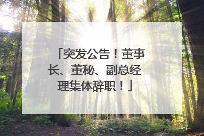 突发公告！董事长、董秘、副总经理集体辞职！