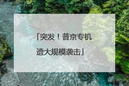 突发！普京专机遭大规模袭击