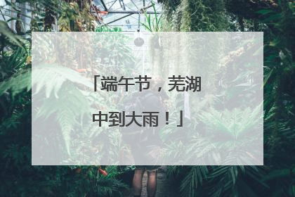 端午节，芜湖中到大雨！
