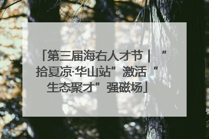第三届海右人才节｜“拾夏凉·华山站”激活“生态聚才”强磁场