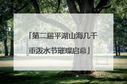 第二届平湖山海几千重泼水节璀璨启幕
