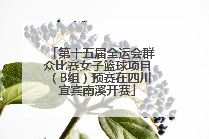 第十五届全运会群众比赛女子篮球项目（B组）预赛在四川宜宾南溪开赛