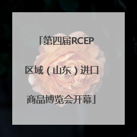 第四届RCEP区域（山东）进口商品博览会开幕