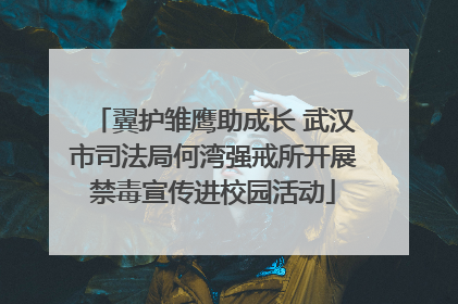 翼护雏鹰助成长 武汉市司法局何湾强戒所开展禁毒宣传进校园活动
