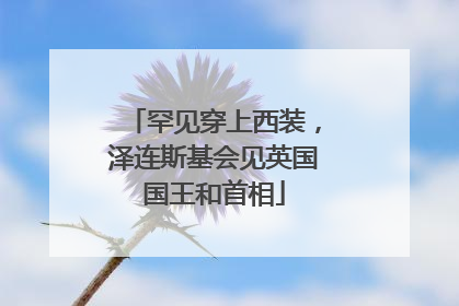 罕见穿上西装，泽连斯基会见英国国王和首相