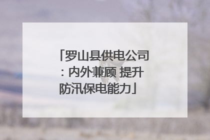 罗山县供电公司：内外兼顾 提升防汛保电能力