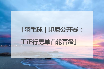 羽毛球｜印尼公开赛：王正行男单首轮晋级