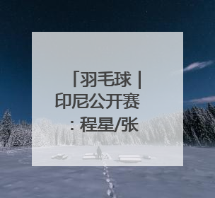羽毛球｜印尼公开赛：程星/张驰晋级混双八强