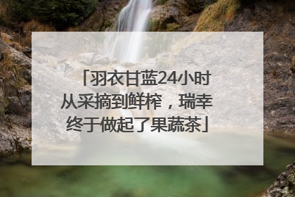 羽衣甘蓝24小时从采摘到鲜榨，瑞幸终于做起了果蔬茶