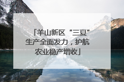 羊山新区“三夏”生产全面发力，护航农业稳产增收