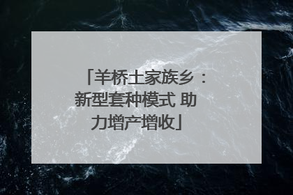 羊桥土家族乡：新型套种模式 助力增产增收