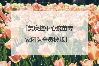 美疾控中心疫苗专家团队全员被裁