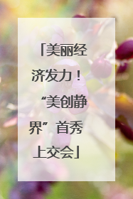 美丽经济发力！“美创静界”首秀上交会