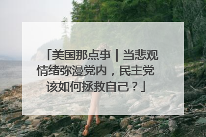 美国那点事｜当悲观情绪弥漫党内，民主党该如何拯救自己？