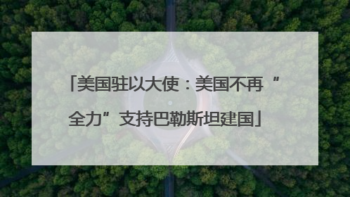 美国驻以大使：美国不再“全力”支持巴勒斯坦建国
