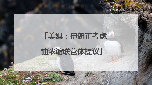 美媒：伊朗正考虑铀浓缩联营体提议