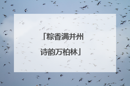 粽香满并州 诗韵万柏林
