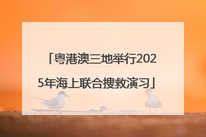 粤港澳三地举行2025年海上联合搜救演习