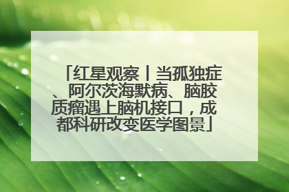 红星观察丨当孤独症、阿尔茨海默病、脑胶质瘤遇上脑机接口，成都科研改变医学图景