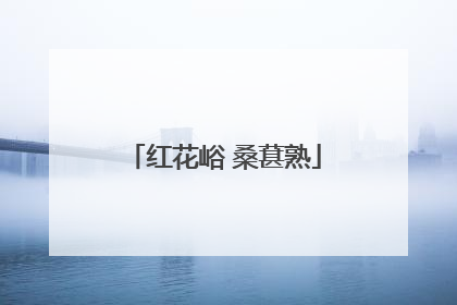 红花峪 桑葚熟