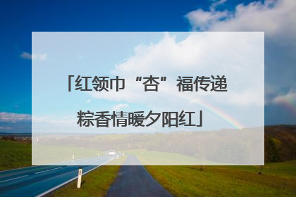 红领巾“杏”福传递 粽香情暖夕阳红