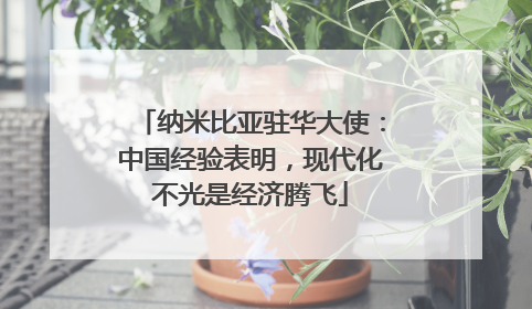 纳米比亚驻华大使：中国经验表明，现代化不光是经济腾飞