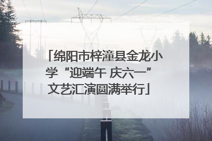 绵阳市梓潼县金龙小学“迎端午 庆六一”文艺汇演圆满举行