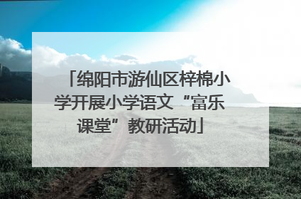 绵阳市游仙区梓棉小学开展小学语文“富乐课堂”教研活动