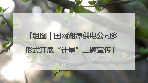 组图｜国网湘潭供电公司多形式开展“计量”主题宣传