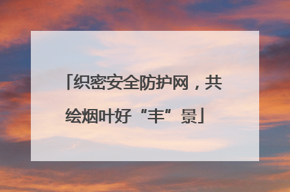 织密安全防护网，共绘烟叶好“丰”景