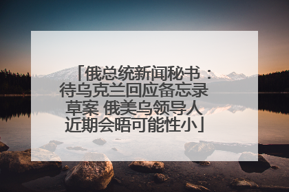 俄总统新闻秘书：待乌克兰回应备忘录草案 俄美乌领导人近期会晤可能性小