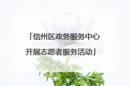 信州区政务服务中心开展志愿者服务活动