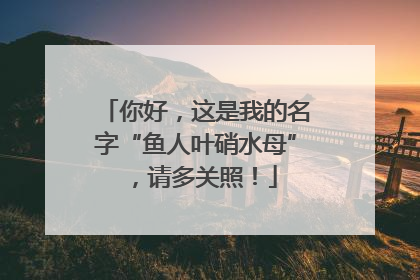 你好，这是我的名字“鱼人叶硝水母”，请多关照！