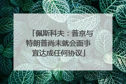 佩斯科夫：普京与特朗普尚未就会面事宜达成任何协议