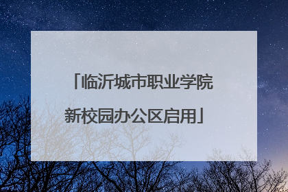 临沂城市职业学院新校园办公区启用