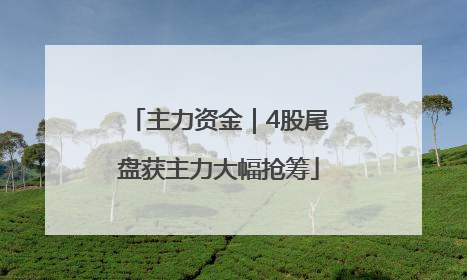 主力资金｜4股尾盘获主力大幅抢筹