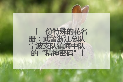 一份特殊的花名册：武警浙江总队宁波支队镇海中队的“精神密码”