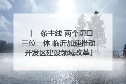 一条主线 两个切口 三位一体 临沂加速推动开发区建设领域改革