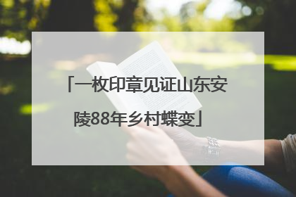 一枚印章见证山东安陵88年乡村蝶变