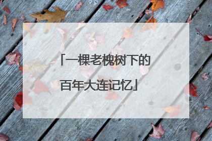 一棵老槐树下的百年大连记忆