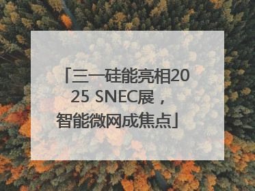 三一硅能亮相2025 SNEC展，智能微网成焦点