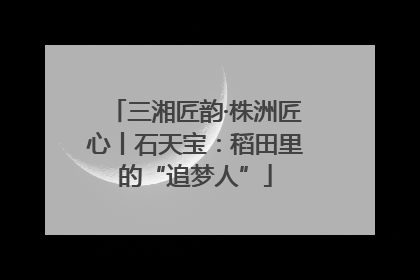 三湘匠韵·株洲匠心丨石天宝：稻田里的“追梦人”