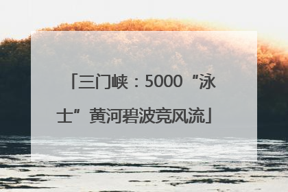 三门峡：5000“泳士”黄河碧波竞风流