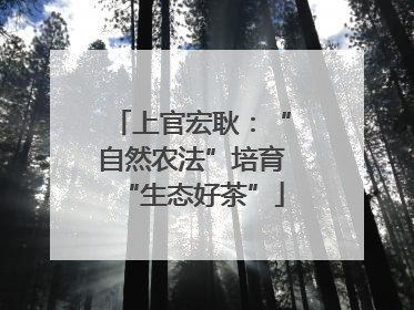 上官宏耿：“自然农法”培育“生态好茶”