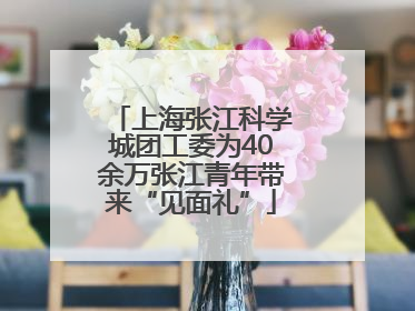 上海张江科学城团工委为40余万张江青年带来“见面礼”
