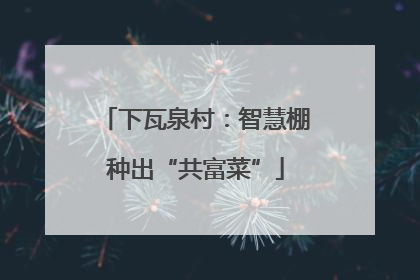下瓦泉村：智慧棚种出“共富菜”