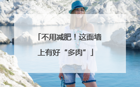 不用减肥！这面墙上有好“多肉”