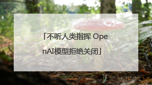 不听人类指挥 OpenAI模型拒绝关闭
