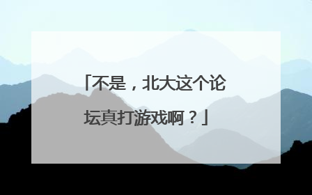 不是，北大这个论坛真打游戏啊？